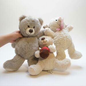 Teddy Bear Bundle – Gently Loved & In Great Condition